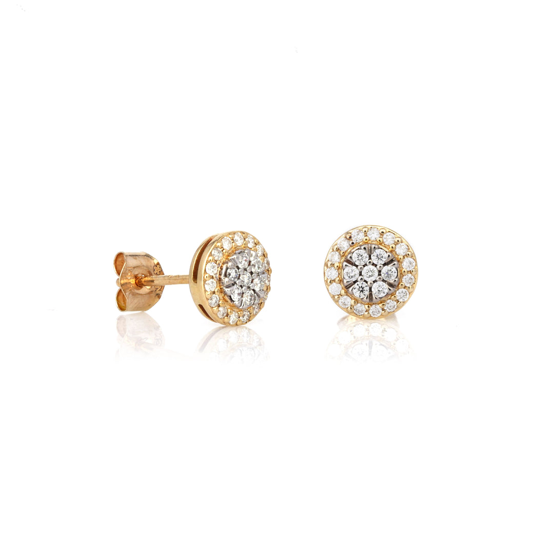 0.14 Cts White Diamond Earring in 14K Two Tone