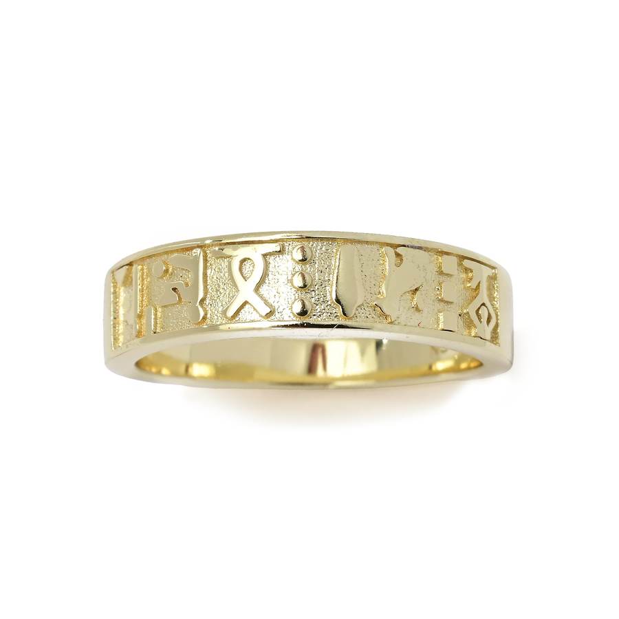 Egyptian Hieroglyphics Band Ring in 18K Gold Plated 925 Silver