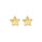 Yellow Gold Plated Star Earring in 925 Sterling Silver