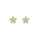 0.17 Cts White Diamond PLUMERIA FLOWER Earring in 14K Yellow Gold