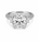 6.14 DEW Moissanite Ring in 925 Platinum Plated