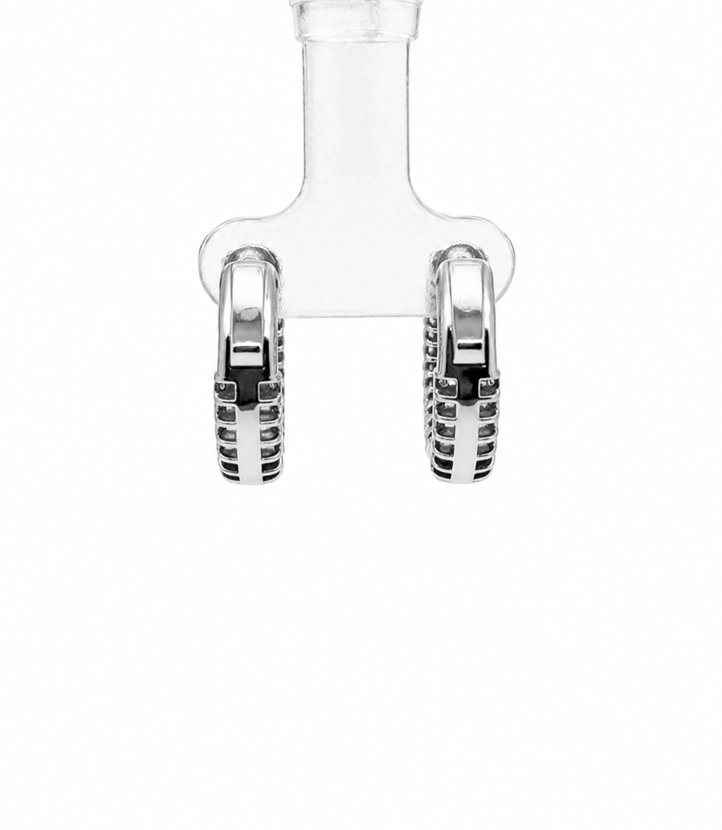 1.91 DEW Moissanite  Earring in 925 Platinum Plated