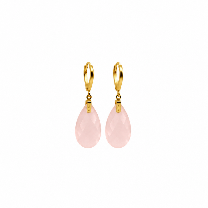 28.50 Ctw Rose Quartz Earring in Brass