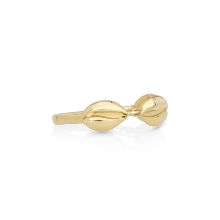 Shell Ring in 14K Yellow Gold