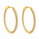 3.00 Ctw Lab Grown Diamond Hoop Earring in 925 Yellow Gold Plated