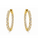 2.30 DEW Moissanite Earring in 925 Yellow Gold Plated
