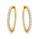 3.00 DEW Moissanite Earring in 925 Yellow Gold Plated