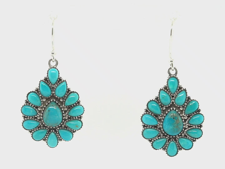 6.72 Ctw Turquoise Earring in 925