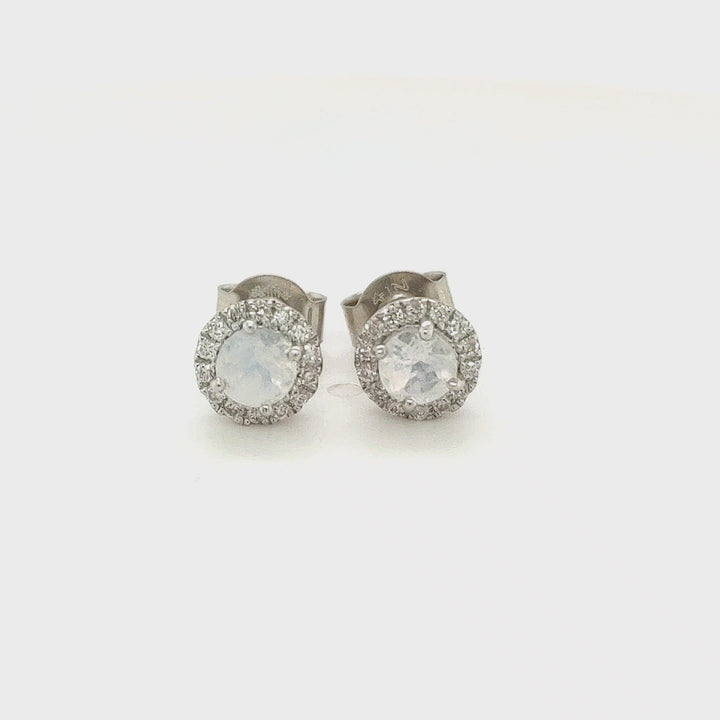 0.50 Cts Rainbow Moonstone and White Diamond Earring in 14K White Gold