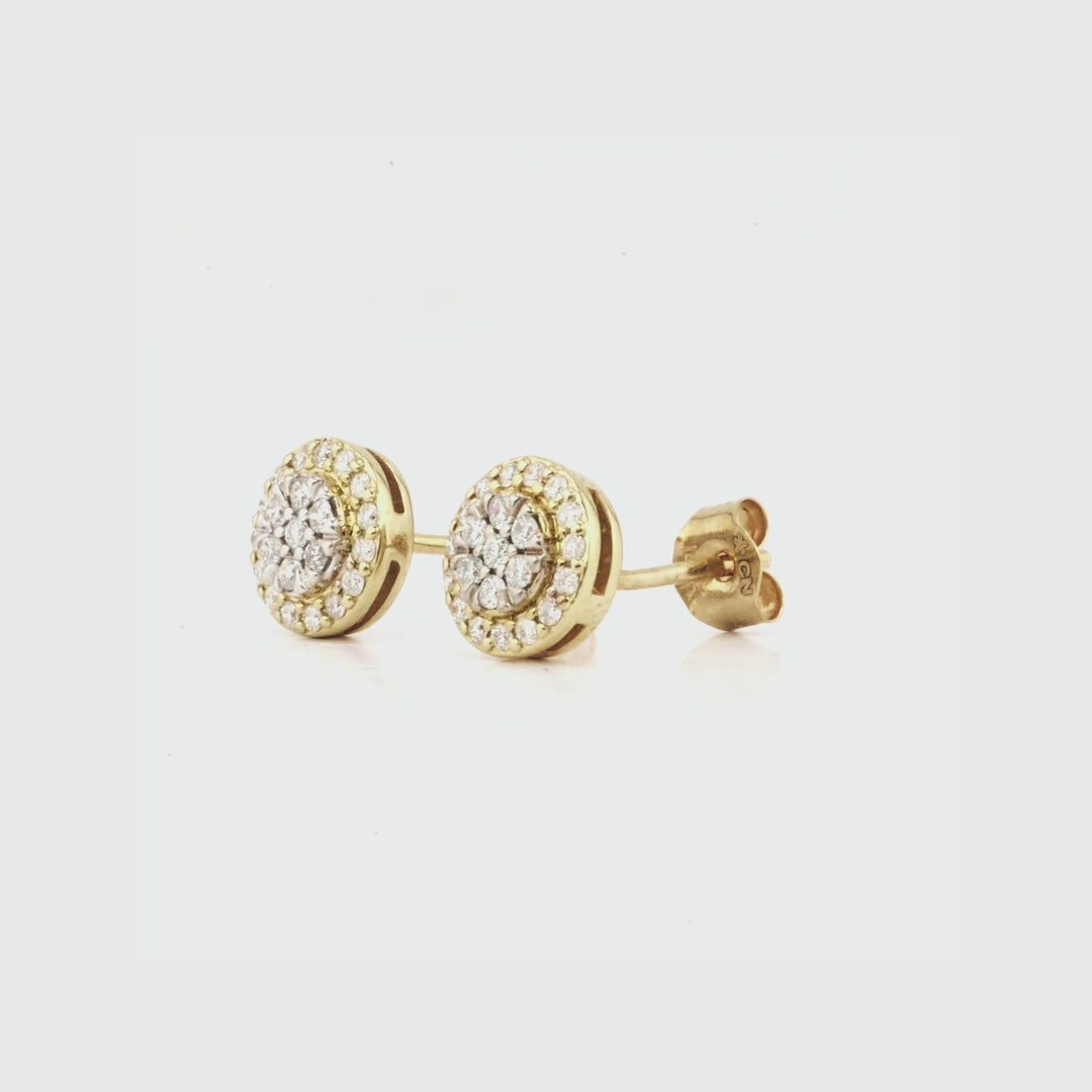 0.14 Cts White Diamond Earring in 14K Two Tone
