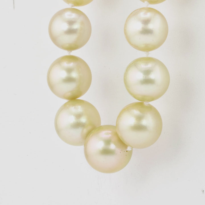 10.00-14.00 MM Round Golden Australian South Sea Pearl Necklace in 18K Yellow Gold